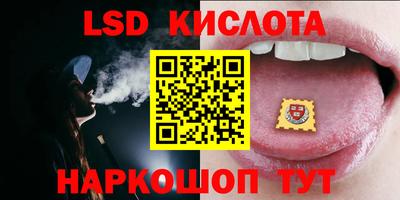стаф Донецк