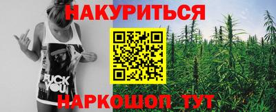 крисы Донской