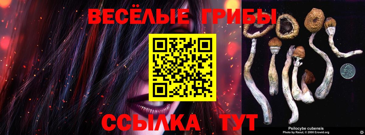 Галлюциногенные грибы Magic Shrooms Заринск