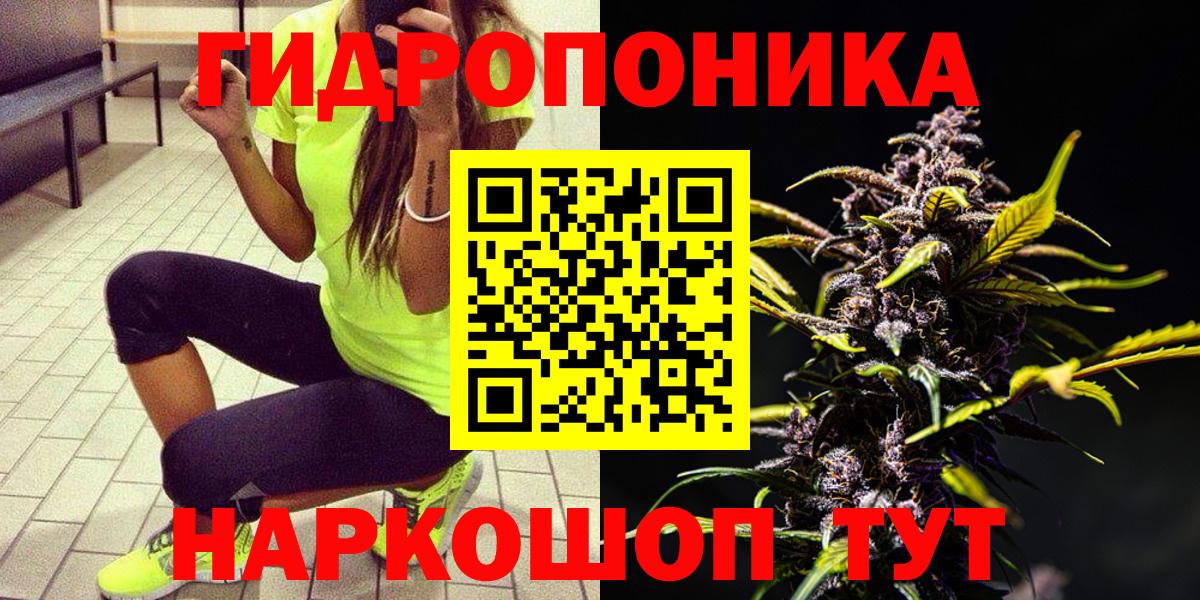 Шишки марихуана сатива  Бошки марихуана THC 21%  Вход с VPN  Заринск  Марихуана план 